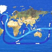 自然　パンフレット　海洋深層水循環