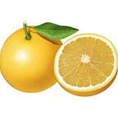 Hi@O[vt[c