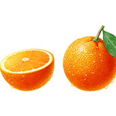 食品　パッケージ　オレンジ